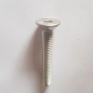 STAINLESS STEEL TSK CAP SCREWS